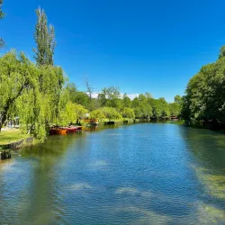 Drilon Fish Farm - Pogradec