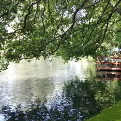 Drilon National Park - Pogradec