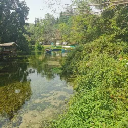 Drilon Springs - Pogradec