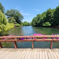 Drilon Springs - Pogradec