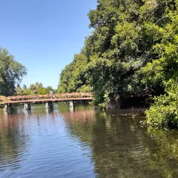Lake Ohrid - Pogradec