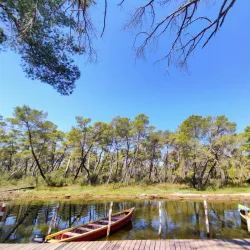 Divjakë-Karavasta National Park - Rrogozhine