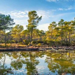 Divjakë-Karavasta National Park - Rrogozhine