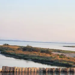 Divjakë-Karavasta National Park - Rrogozhine