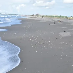 Rana e Hedhun (The Thrown Sand) - Shengjin