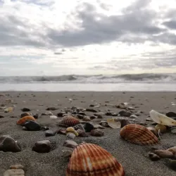 Rana e Hedhun (The Thrown Sand) - Shengjin