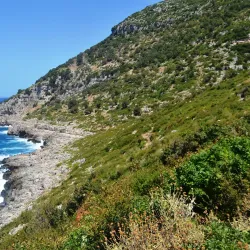 Kepi i Gjuhëzës - Shijak