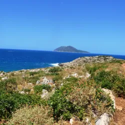 Kepi i Gjuhëzës - Shijak