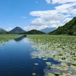 Lake Shkoder - Shkoder
