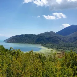 Lake Shkoder - Shkoder