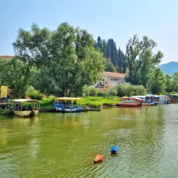 Lake Shkoder - Shkoder