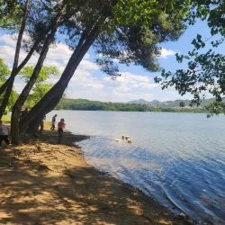 Grand Park (Parku i Madh) and Artificial Lake - Tirana