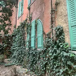 House of Leaves - Tirana