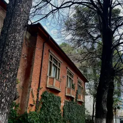 House of Leaves - Tirana