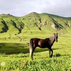 Dobërdol Village - Tropoje