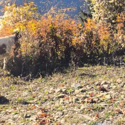Rugova Canyon - Tropoje