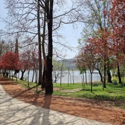 Liqeni Artificial Lake - Vore