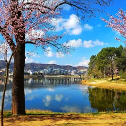 Liqeni Artificial Lake - Vore
