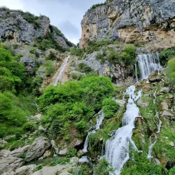 Mullet National Park - Vore