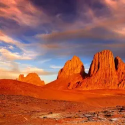 Desert Wildlife Observation - Abalessa