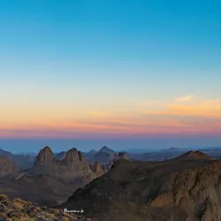 Desert Wildlife Observation - Abalessa