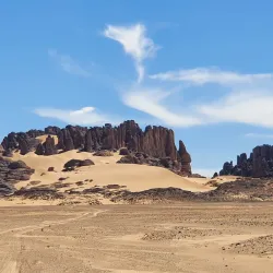 Desert Wildlife Observation - Abalessa