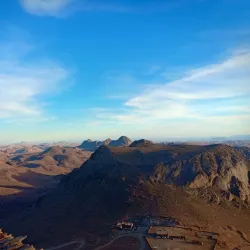 Desert Wildlife Observation - Abalessa