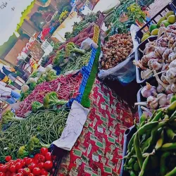 Local Markets in Adrar - Adrar