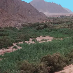 Oued Zousfana - Adrar