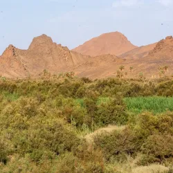 Oued Zousfana - Adrar