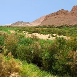 Oued Zousfana - Adrar