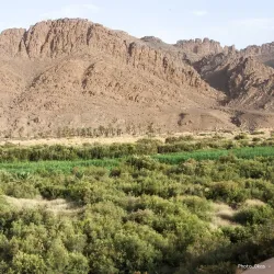 Oued Zousfana - Adrar