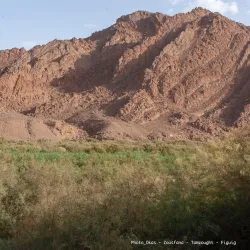 Oued Zousfana - Adrar