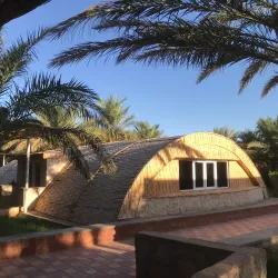 Palm Groves of Adrar - Adrar