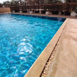 Palm Groves of Adrar - Adrar