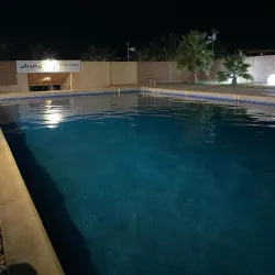 Palm Groves of Adrar - Adrar