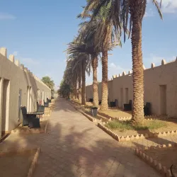 Palm Groves of Adrar - Adrar