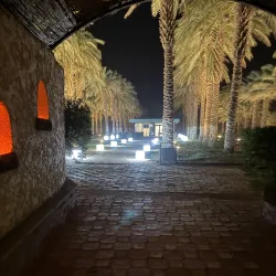 Palm Groves of Adrar - Adrar