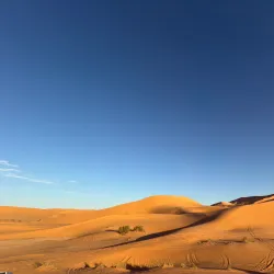 Taghit Oasis - Adrar