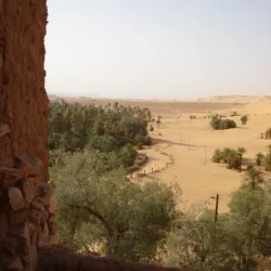 Taghit Oasis - Adrar