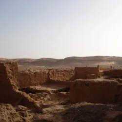 Taghit Oasis - Adrar