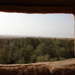 Taghit Oasis - Adrar