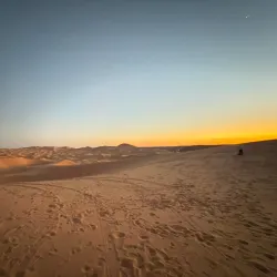 Taghit Oasis - Adrar