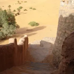 Taghit Oasis - Adrar