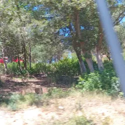 Natural Surroundings and Hiking Trails - Ain Beida