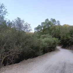 Natural Surroundings and Hiking Trails - Ain Beida