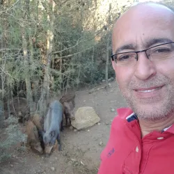 Natural Surroundings and Hiking Trails - Ain Beida