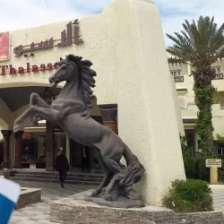 Agricultural Tours - Ain Mlila