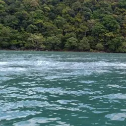 Agricultural Tours - Ain Mlila