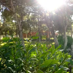 Surrounding Countryside and Hiking Trails - Ain Mlila